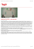 ITALY.Love or Leave it. 6 mesi di tempo - Hot - World