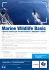 Marine Wildlife Basic