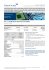 8% pa EUR Barrier Reverse Convertible Infineon, SAP