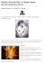 Versione pdf - Circolo Culturale La Torre
