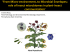 Clean caterpillars and grubby beetles: the role of oral secretions in