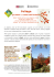 Brochure | Foliage. Gli alberi e i colori dell`autunno