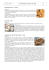 Biscotti allo zenzero – Norvegia Ricciarelli – Italia Melomakarona