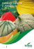 Catalogo Melone e Anguria