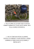 1 - BICI DA CORSA LEE COUGAN 57X57 IN ACCIAIO CAMBIO