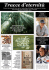 Mirror - WordPress.com