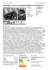 Volkswagen Touran 1.6 TDI DPF (Navi Klima Einparkhilfe) Prezzo