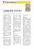 looking cotto - Federchemicals srl