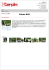 Palms 665 - Terpin Srl Agricoltura e Giardinaggio