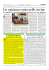 pdf - Rondine Group