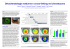 Presentazione di PowerPoint