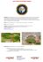 2015 USSSA GOLD MEDAL GAMES