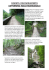 cascata dell`acquacheta (appennino tosco