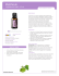 Patchouli - Essenzialmente.net