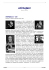 scarica quest`articolo in formato pdf