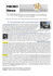 Il virus di Epstein-Barr (EBV) - Policlinico S.Orsola