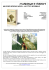 an elder scrolls novel : la citta` infernale