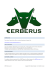 DMT Cerberus.v2.2