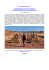 Da Elefantina ad Abu Simbel: Andrea