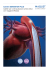SENSATION PLUS Brochure€€- Italian