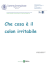 Il Colon Irritabile (, 3 MB)