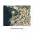 Via Pasquale Culotta – architetto