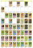 7 - LE CARTE POKEMON ITALIANE Neo Discovery