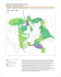 The Atlas of Ancient Rome: Biography and Portraits of the City (Two
