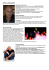 PDF CV