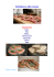 Saltimbocca alla romana ingredienti: