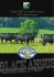 Flyer_Black Angus.indd