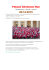 Paluani Christmas Run 20-12-2015