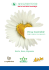 Brochure EcoService