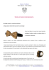 Wood and natural material jewelry