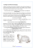 Il pedigree (Certificato Genealogico).