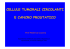 Relazione Prof. Licastro