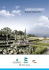 landscaping - Zelari Piante