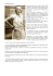 SUZANNE LENGLEN