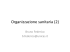 Organizzazione sanitaria (2)