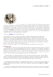 Scarica l`articolo in formato PDF