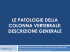 le patologie della colonna vertebrale: descrizione