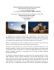 Vipassana meditation retreat