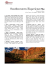 Southwestern ExperiencePlus