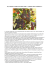 ACCARTOCCIAMENTO FOGLIARE o “GRAPEVINE