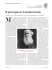 Il principio di Anna Karenina