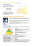 MICROSOFT Office Specialist