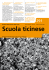 Scarica e leggi il documento - Repubblica e Cantone Ticino
