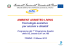 AMBIENT ASSISTED LIVING Tecnologie assistive per anziani e