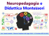 Neuropedagogia e Didattica Montessori