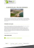 AL BUSTAN PALACE - RITZ CARLTON MUSCAT